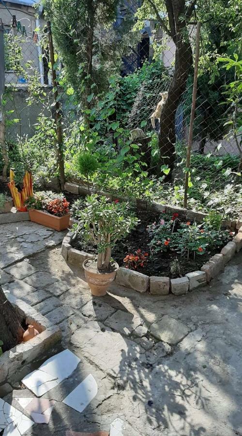 Newly Renovated House Leilighet Tbilisi Eksteriør bilde